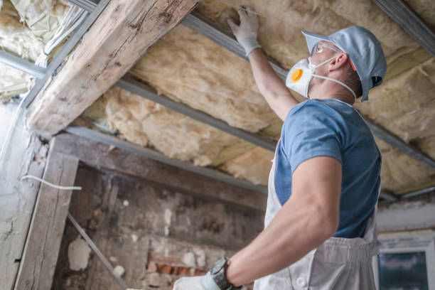 Professional Insulation Contractor in Second Mesa, AZ