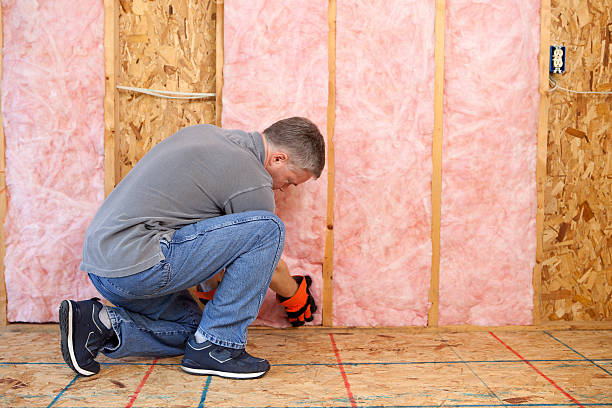 Best Eco-Friendly Insulation in Second Mesa, AZ